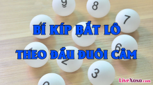 Lô câm là gì, cách bắt lô đầu và đuôi lô câm