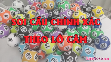 Khi lô đầu câm đuôi câm đánh con gì hôm sau dễ trúng nhất