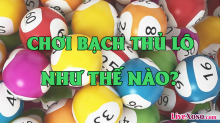 Bạch thủ lô là gì? Cách chơi bạch thủ lô trong lô đề như thế nào