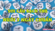 Mẹo soi cầu nuôi lô bạch thủ khung 5 ngày hiệu quả nhất hiện nay