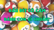  5 tuyệt chiêu chơi bạc nhớ lô đề đầu đít câm – Đầu câm đuôi câm 