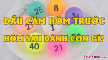 Đầu lô câm hôm trước câm hôm sau đánh con gì?