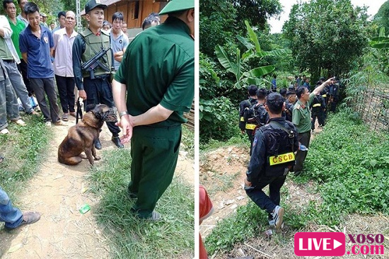Lực lượng chức năng truy bắt nghi phạm giết hàng xóm bỏ trốn trong rừng Trọ Phảng