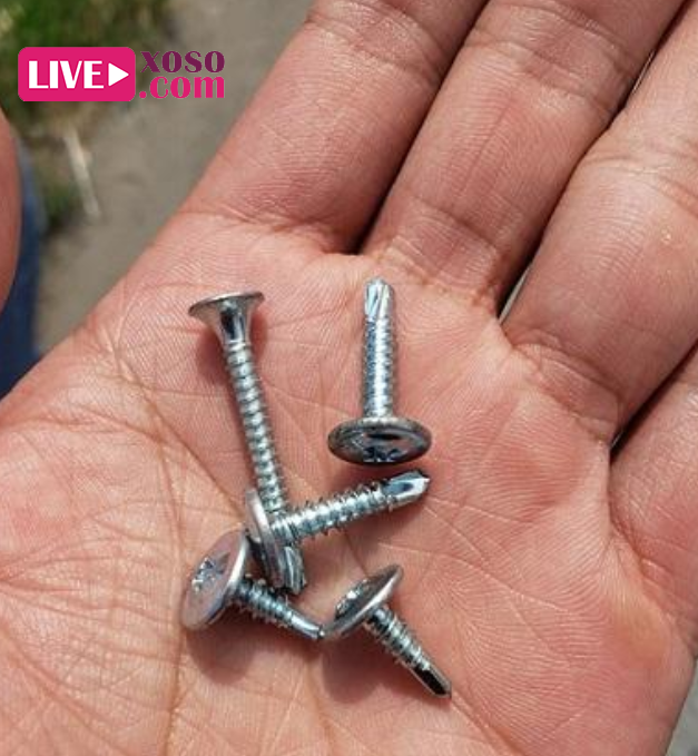 Đinh vít nằm rải rác trên QL37 'bẫy' người đi đường